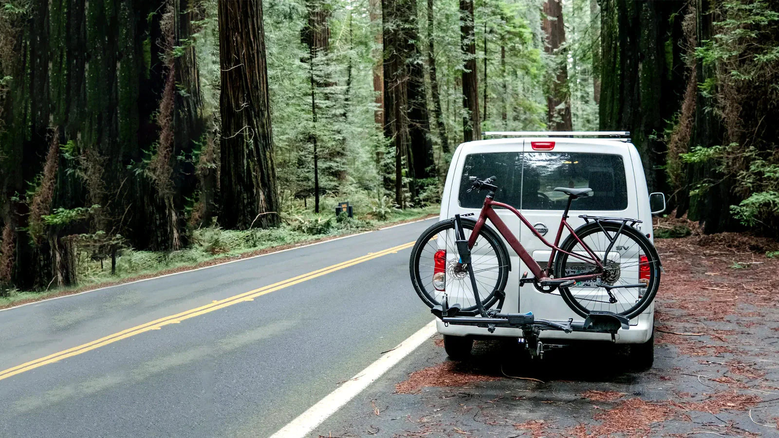 Bike Hitch Rack vs. Roof Rack: Which is Right for You?